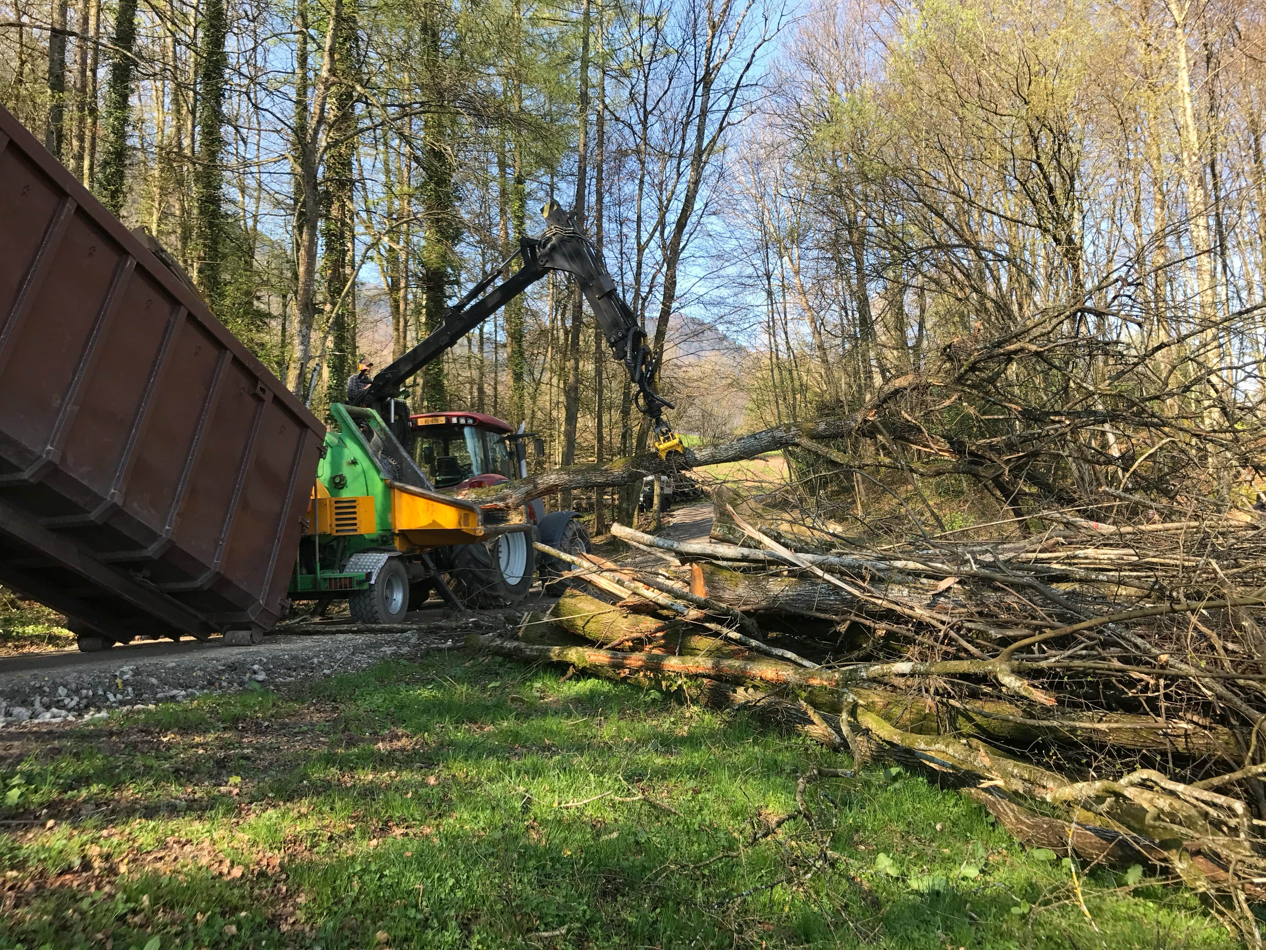 Déchiquetage de branches dans le Jura — SAS POLYVIER